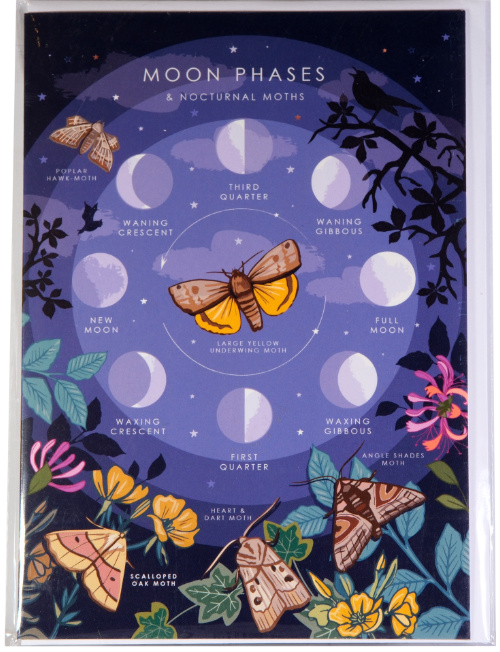 moons